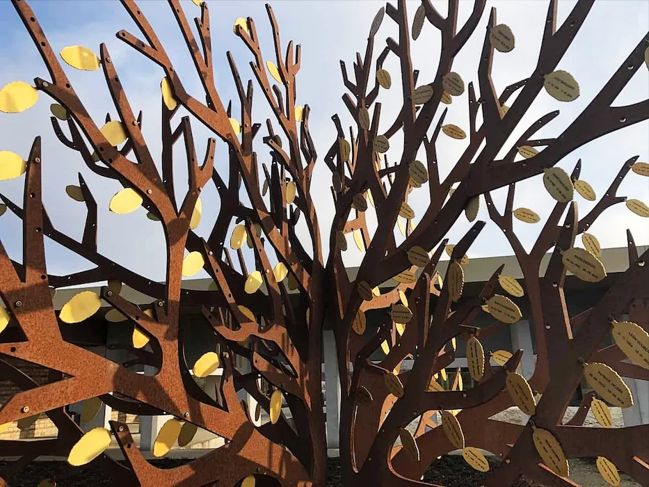Gedenkboom van 320 cm op het strooiveld van Crematorium Stuifduin in Lommel
