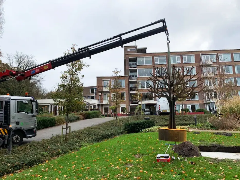 Gedenkboom 220 cm bij Woonzorglocatie Kennemerduin in Heemstede