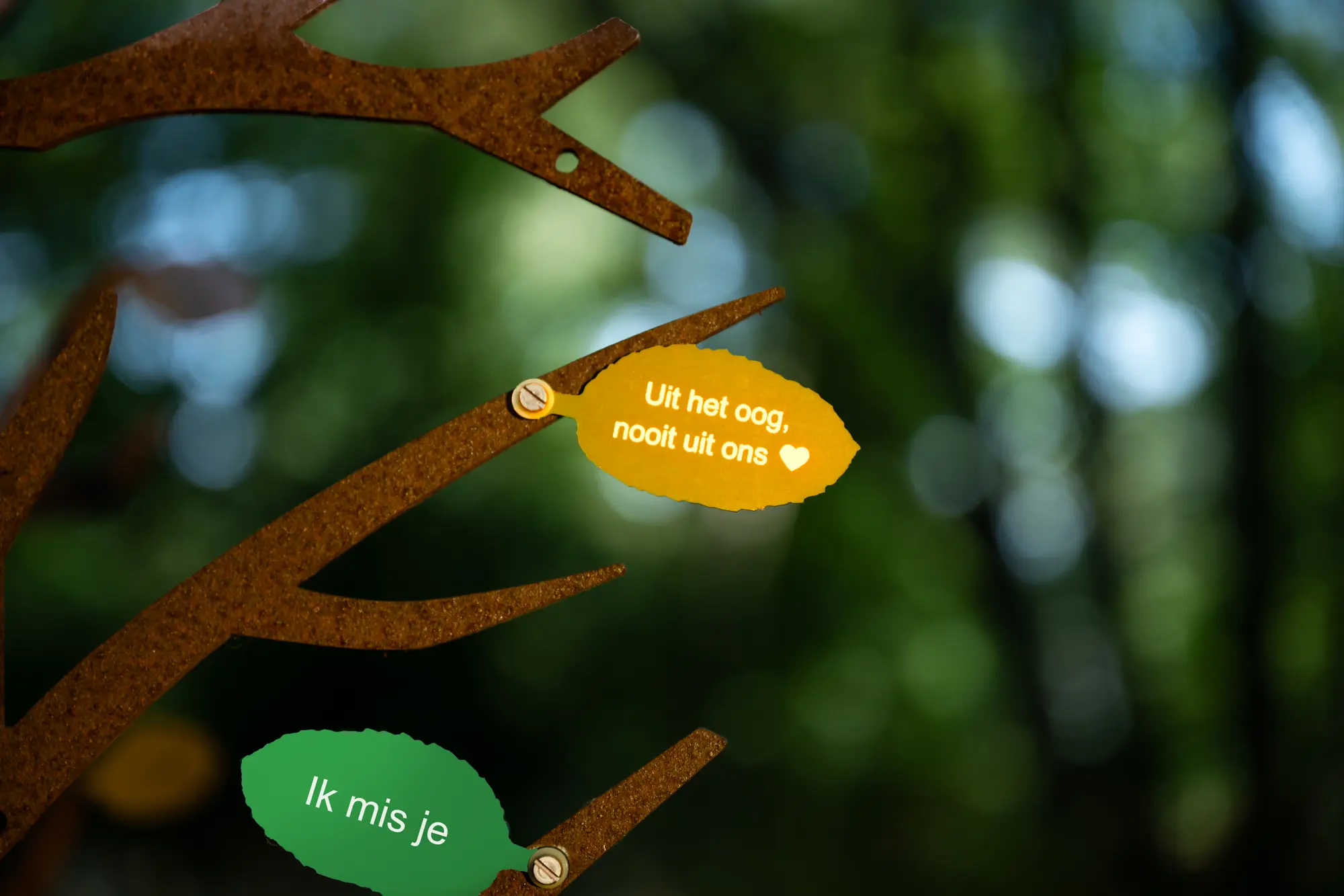 Gekleurde gedenkblaadjes met persoonlijke teksten aan de kinderboom